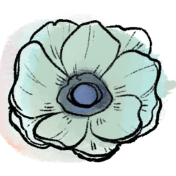 anemone